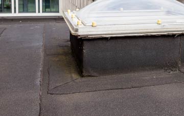 disadvantages of Higher Muddiford flat roofs